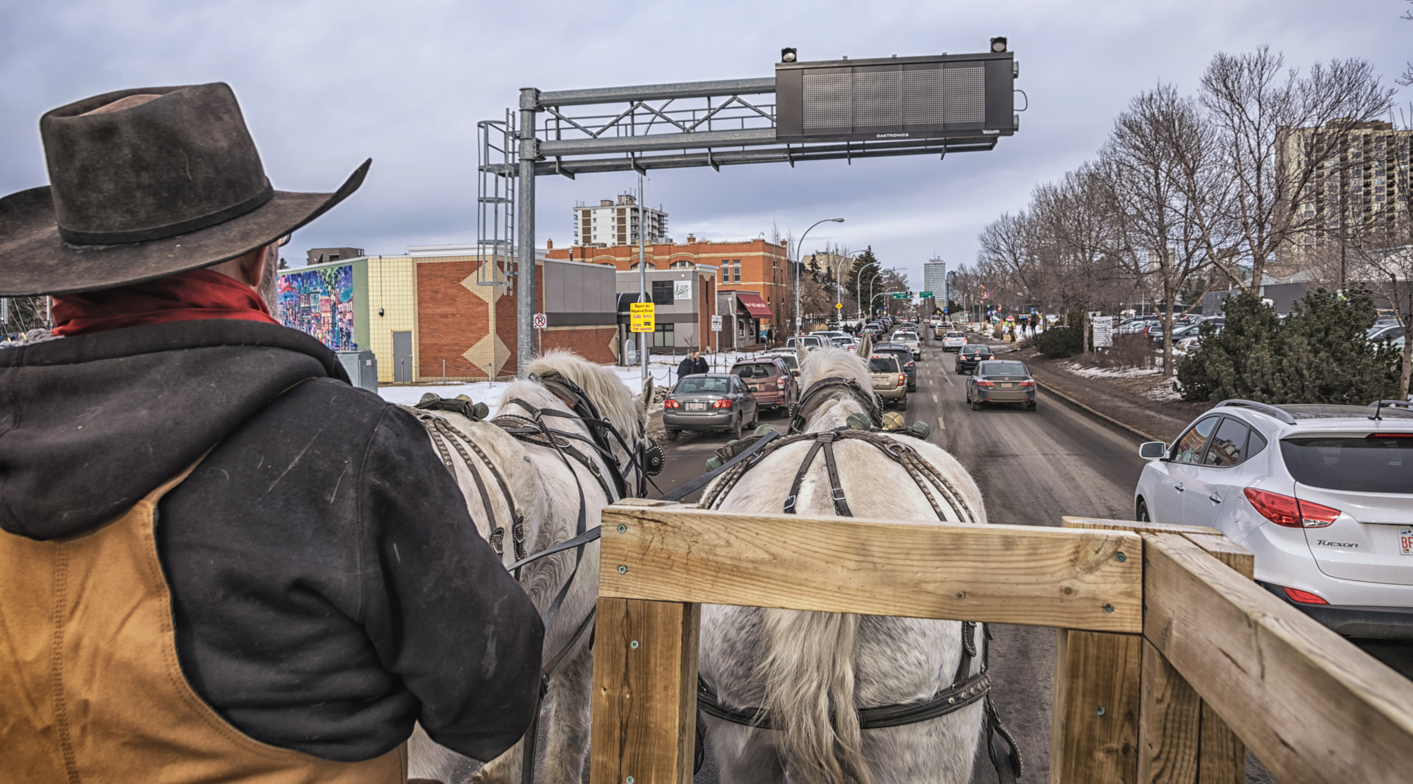 Sigma 17-50mm F2.8 EX DC OS HSM sample photo. Getting by with 2 horsepower photography