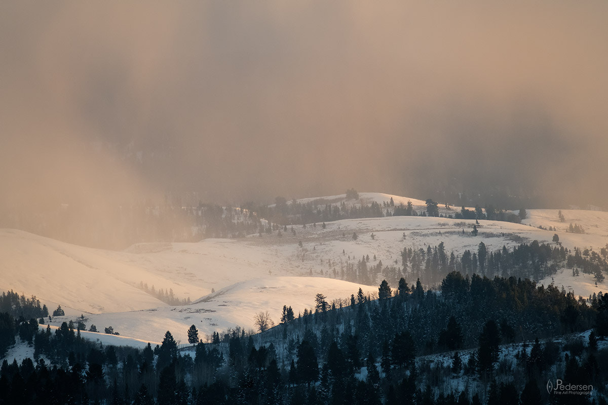 XF100-400mmF4.5-5.6 R LM OIS WR + 1.4x sample photo. Warm n cold photography