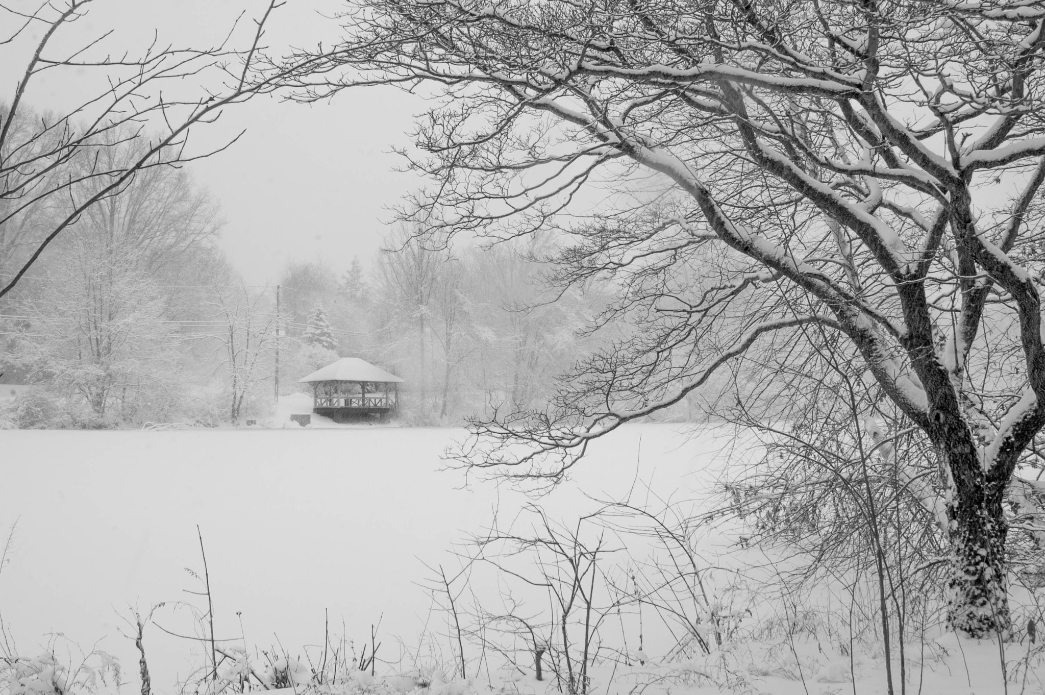 Nikon D70 sample photo. Silence photography