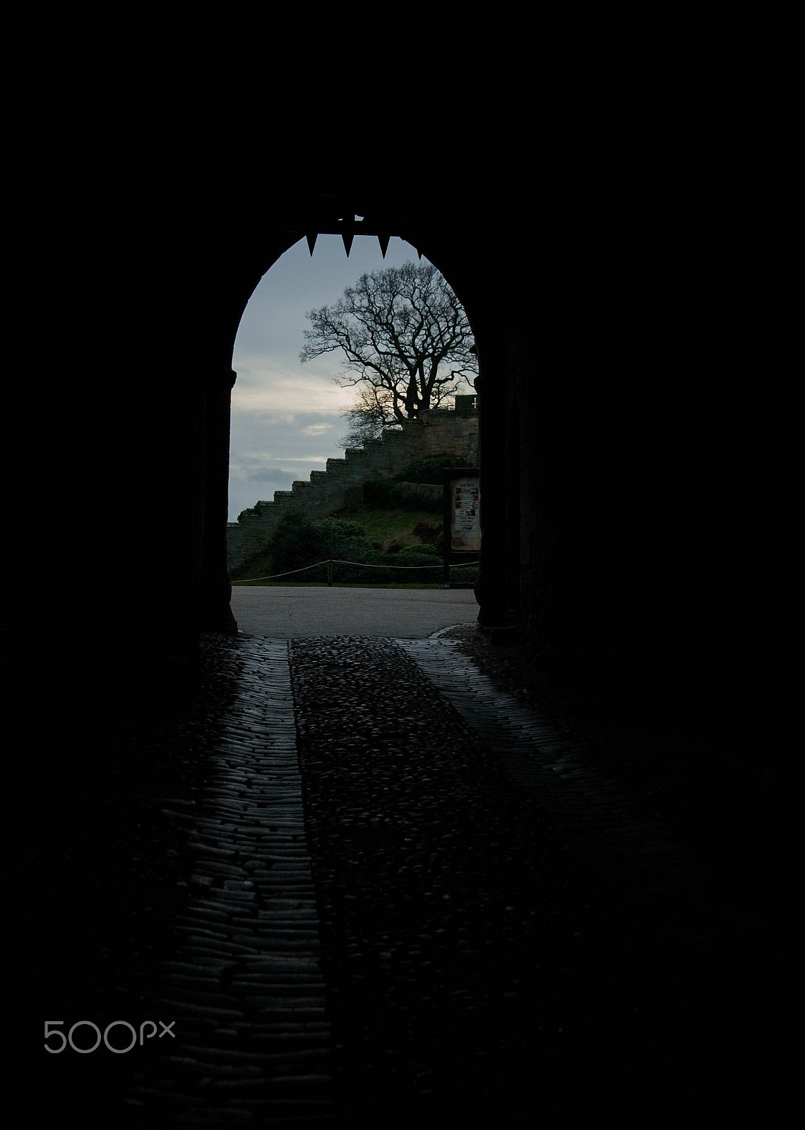 Nikon D70 sample photo. Warwick photography