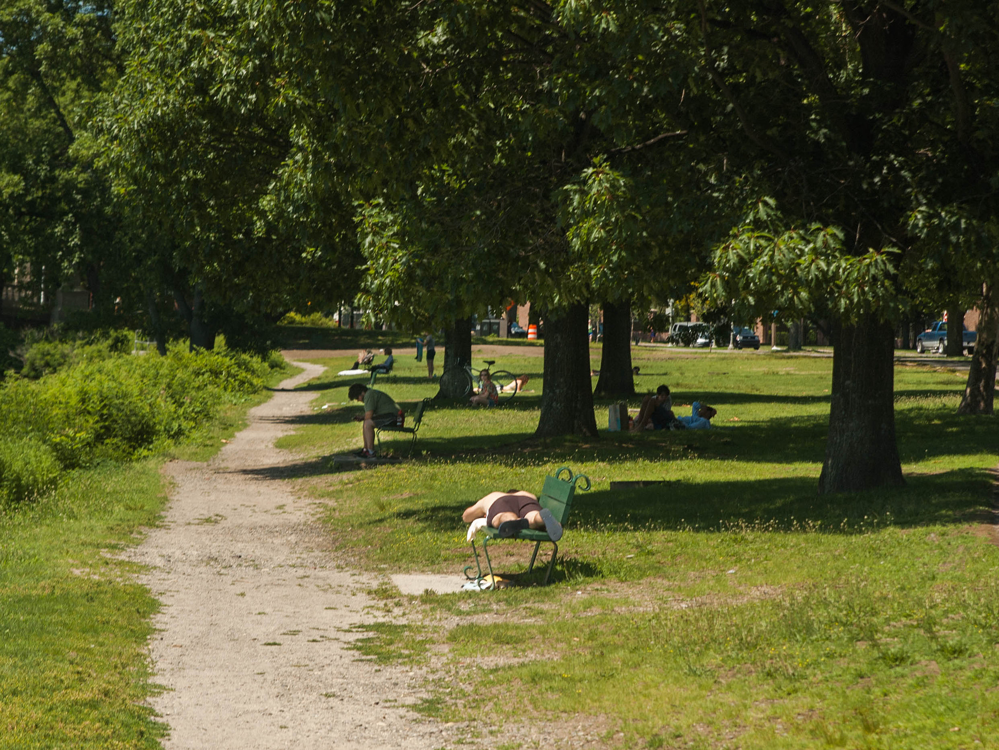 Nikon D70 sample photo. Seurat photography