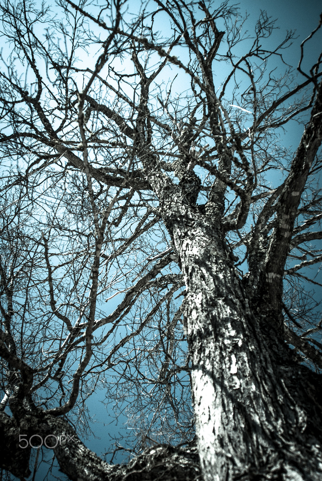 Minolta/Sony AF 24-105mm F3.5-4.5 (D) sample photo. Skyward photography