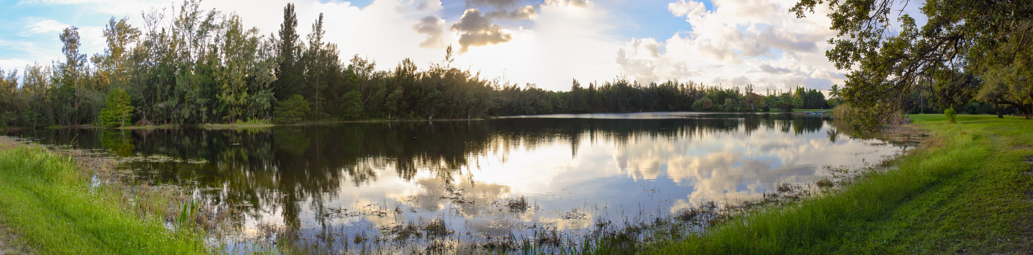Nikon 1 J5 sample photo. Symmetrical  reflection photography