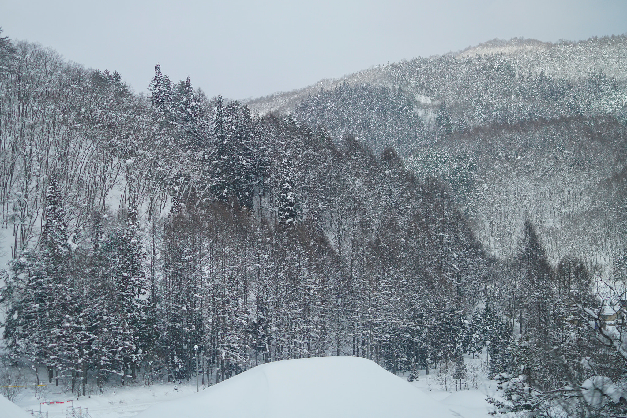 Sony a7R II + Sony FE 70-200mm F4 G OSS sample photo. On the way to takayama photography