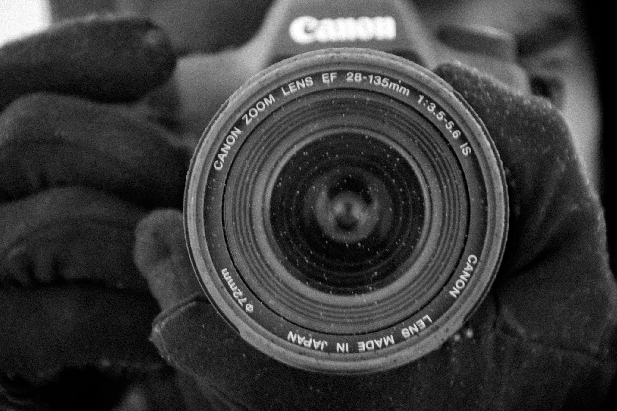 Canon EOS 100D (EOS Rebel SL1 / EOS Kiss X7) sample photo. Zoom in photography
