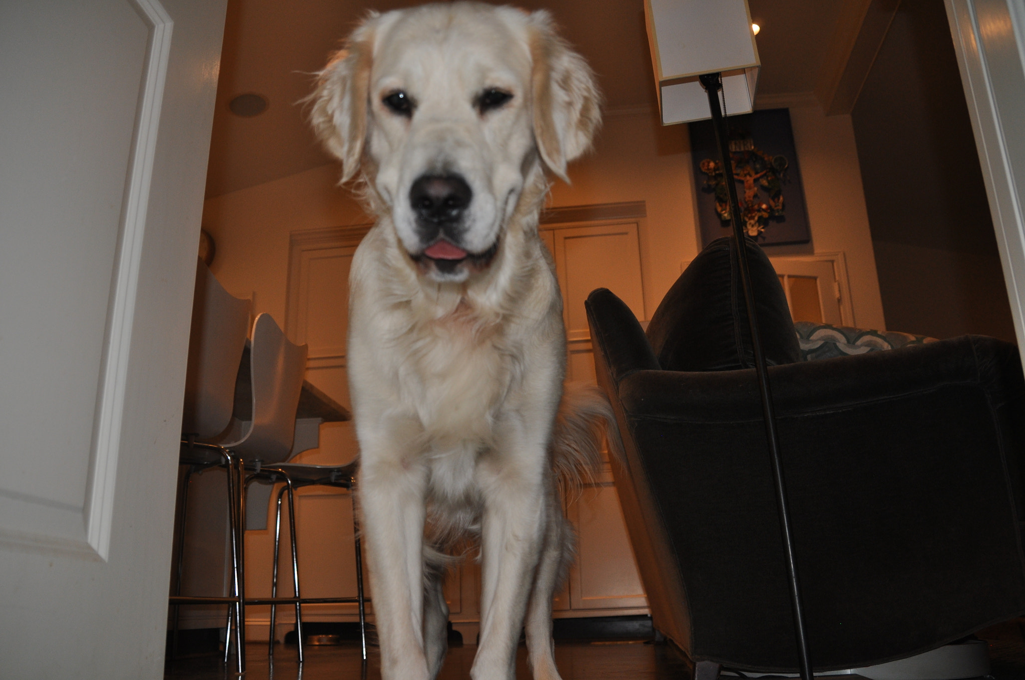 Nikon D5000 sample photo. Tucker photography