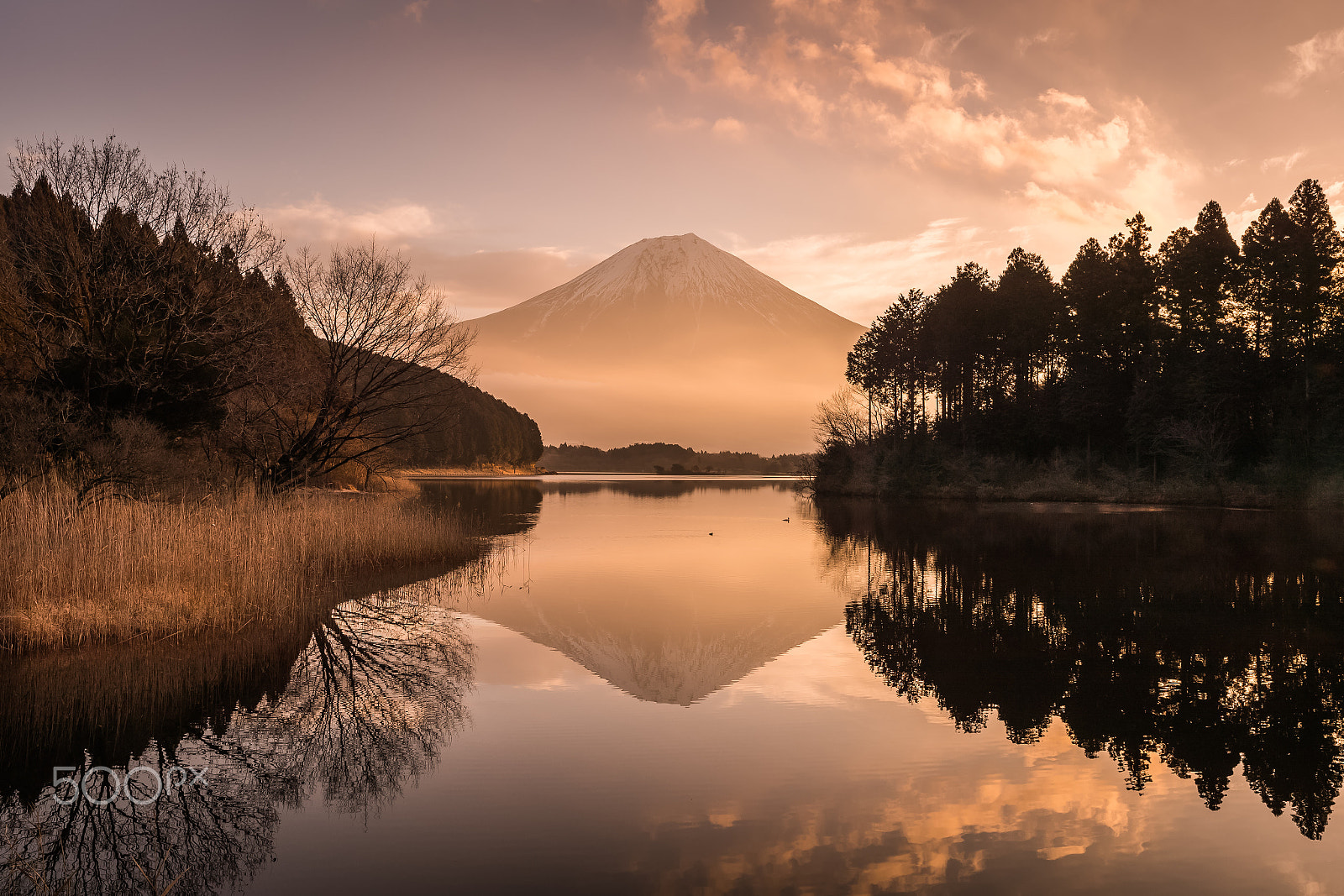 Canon EF 24-70mm F2.8L II USM sample photo. Mountain fuji & morning light photography