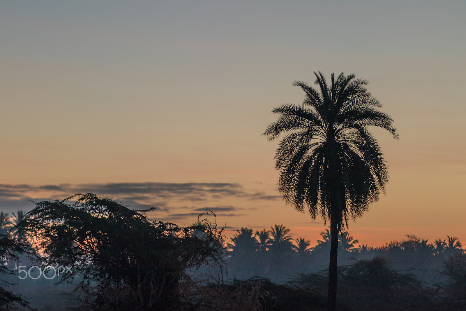 Canon EOS 80D + Canon EF 85mm F1.8 USM sample photo. Before sunrise photography