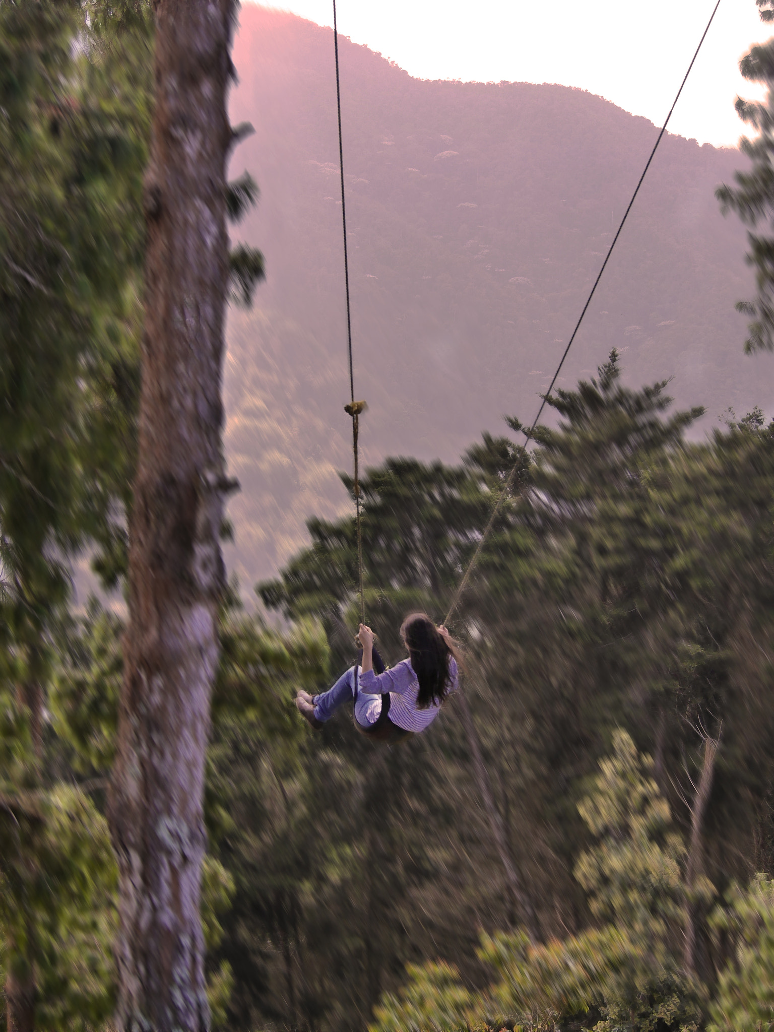 Panasonic Lumix DMC-G6 sample photo. Volando entre árboles photography