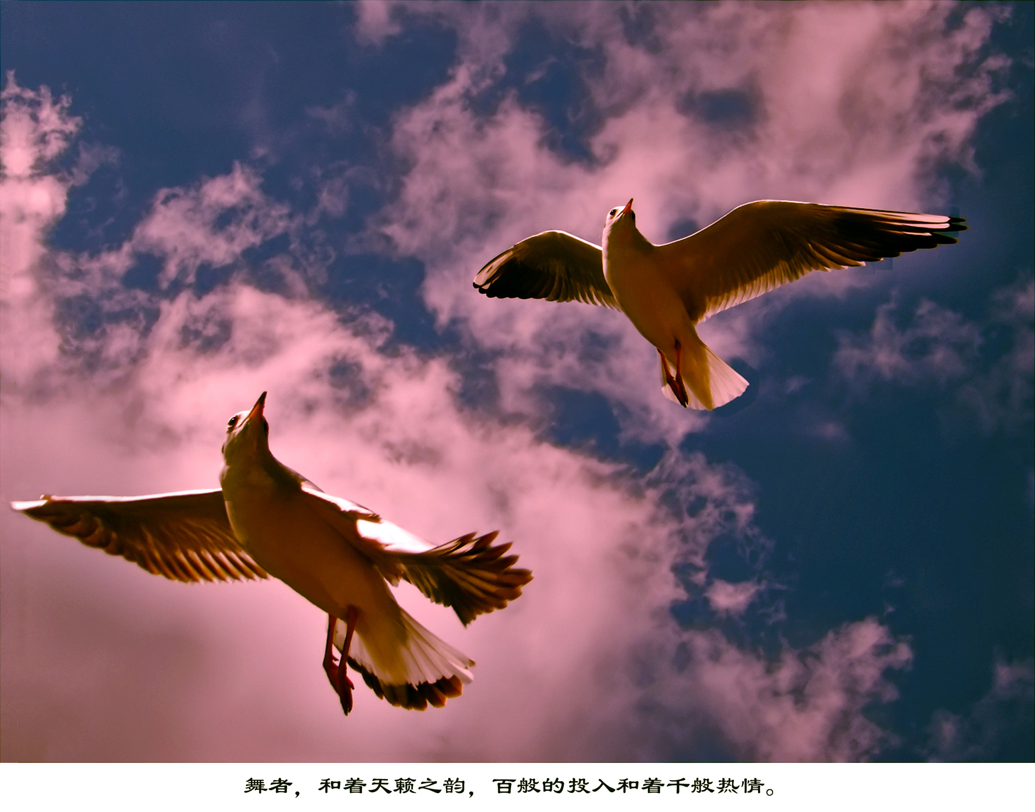JK KODAK PIXPRO AZ651 sample photo. 空中芭蕾舞（aerial ballet） photography