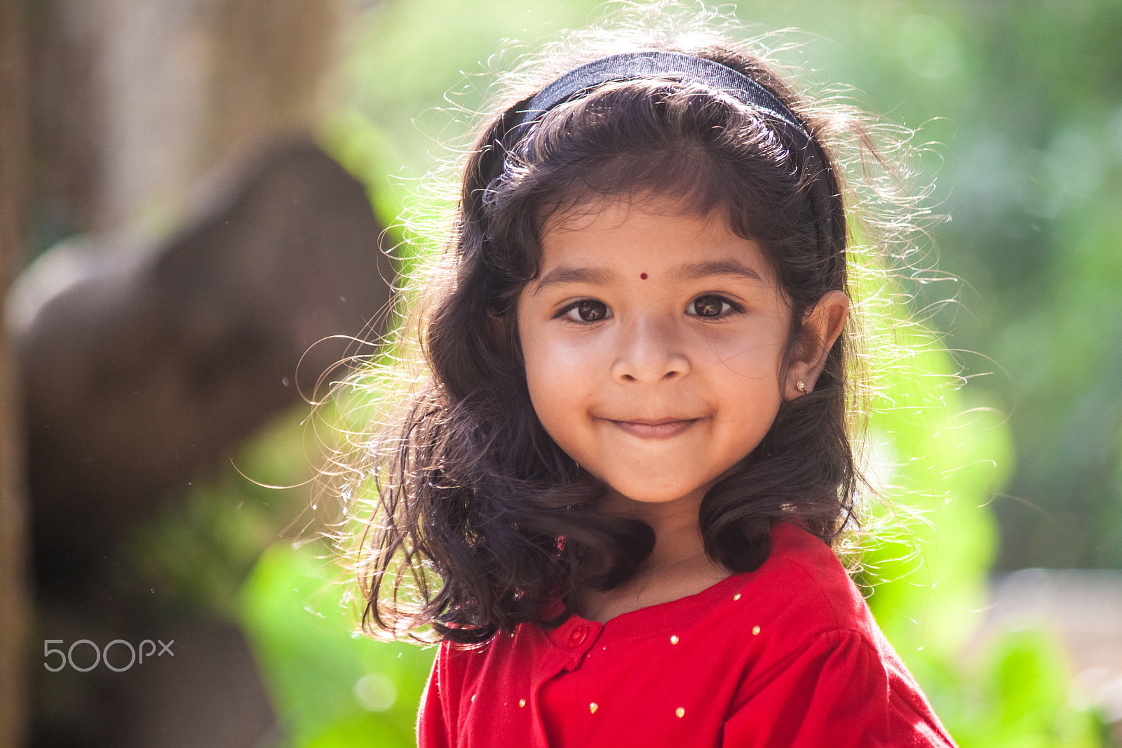 Canon EF-S 55-250mm F4-5.6 IS II sample photo. Kuttima photography