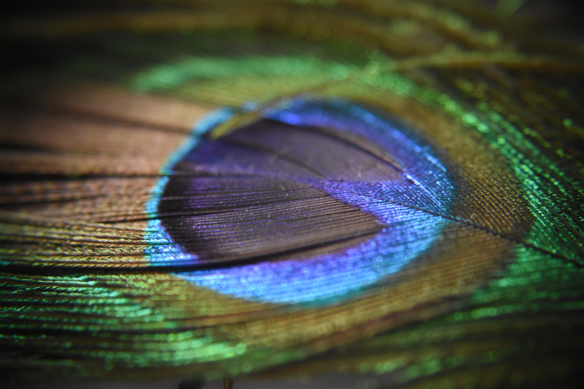 AF Zoom-Nikkor 28-80mm f/3.3-5.6G sample photo. Untitled photography