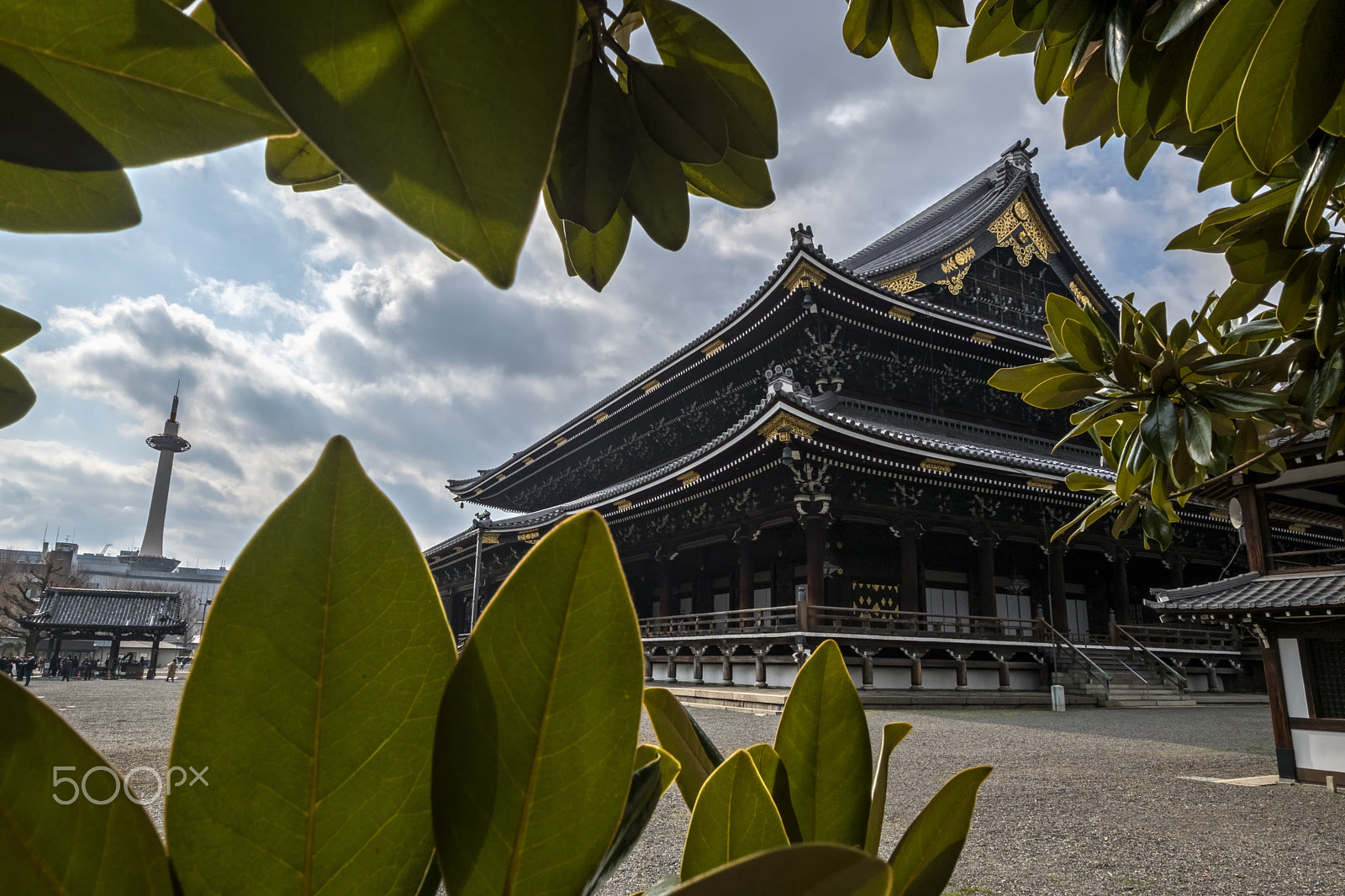 Fujifilm XF 14mm F2.8 R sample photo. Nijo castle, kyoto photography