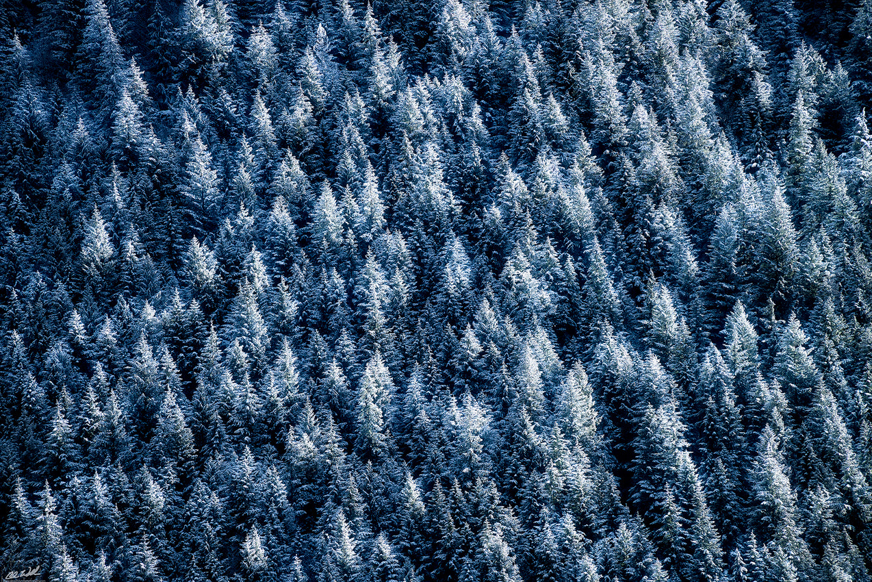 Canon EF 28-300mm F3.5-5.6L IS USM sample photo. Patterns of light photography