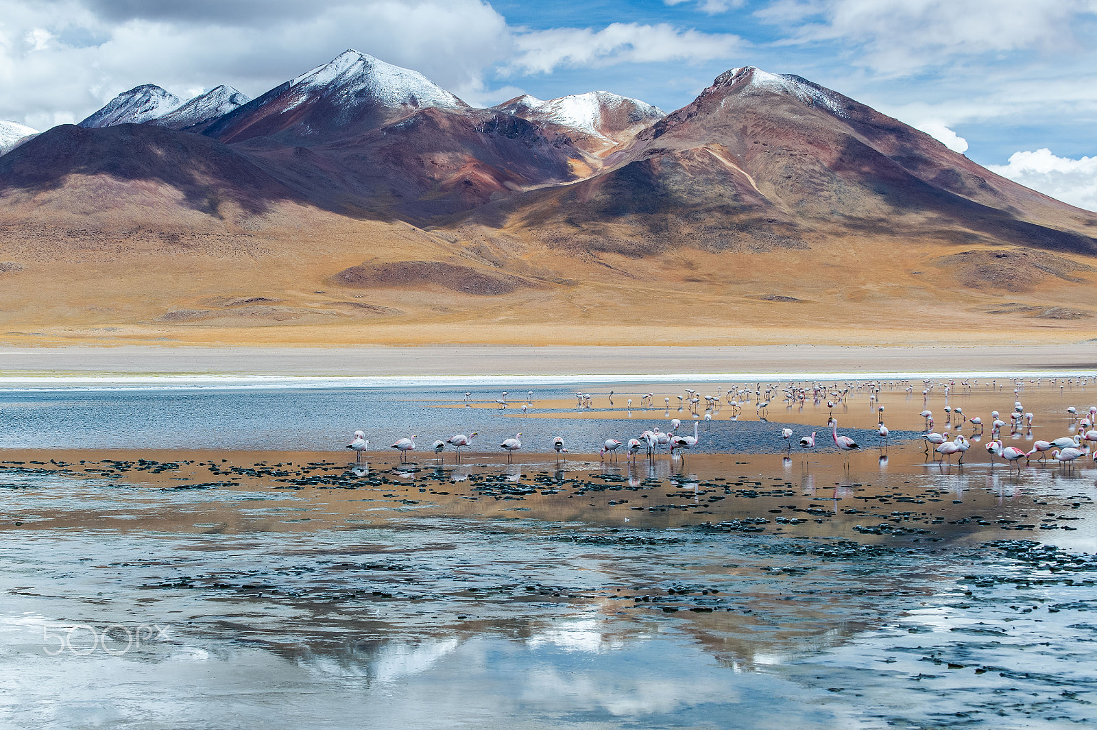 Nikon D4S sample photo. Bolivian highland landscape photography