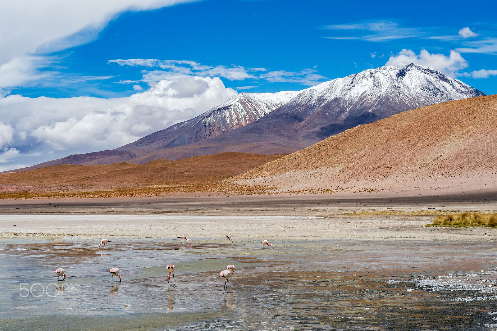 Nikon D4S sample photo. Bolivian highland landscape photography