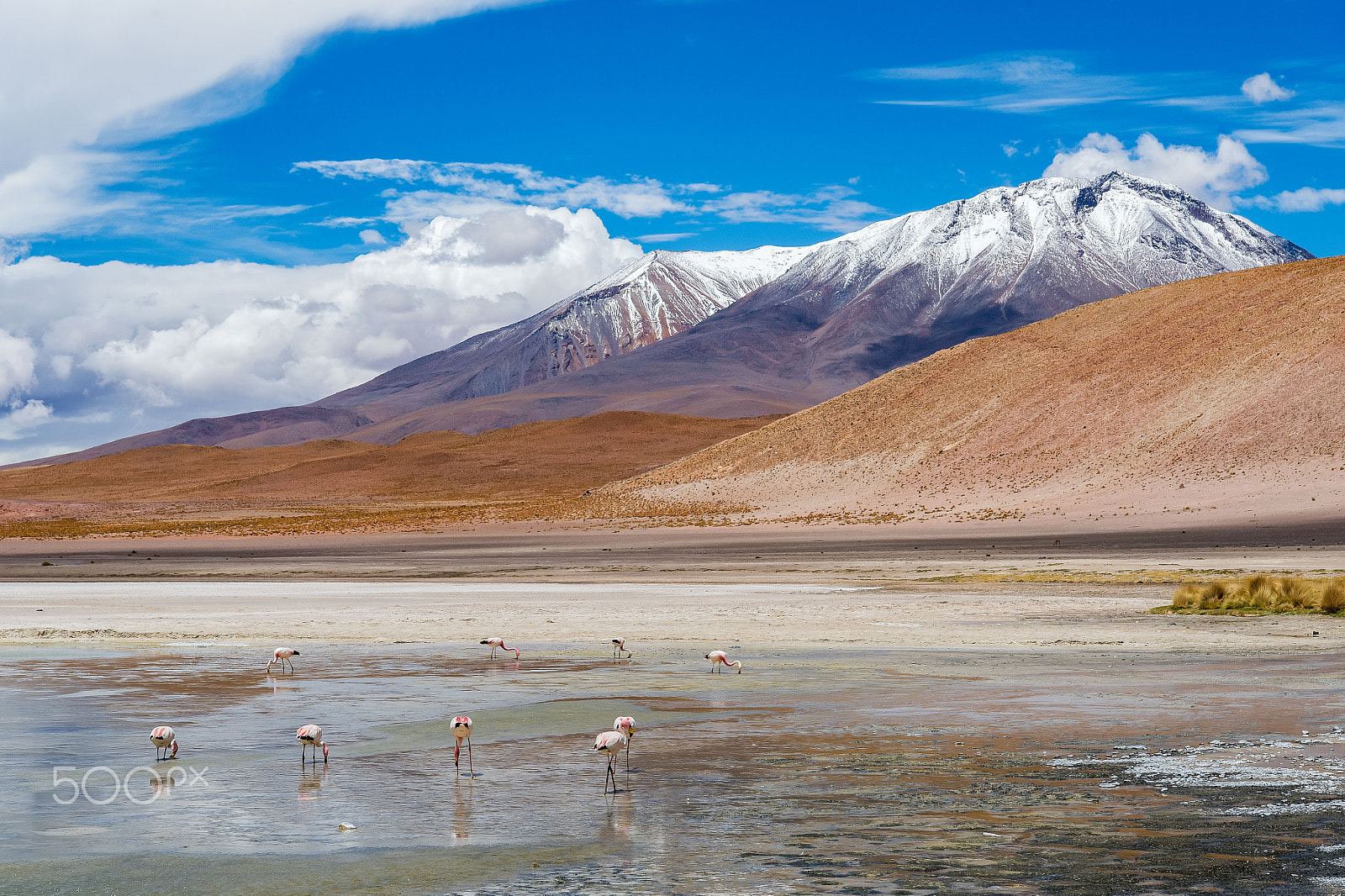 Nikon AF-S Nikkor 24-70mm F2.8E ED VR sample photo. Bolivian highland landscape photography