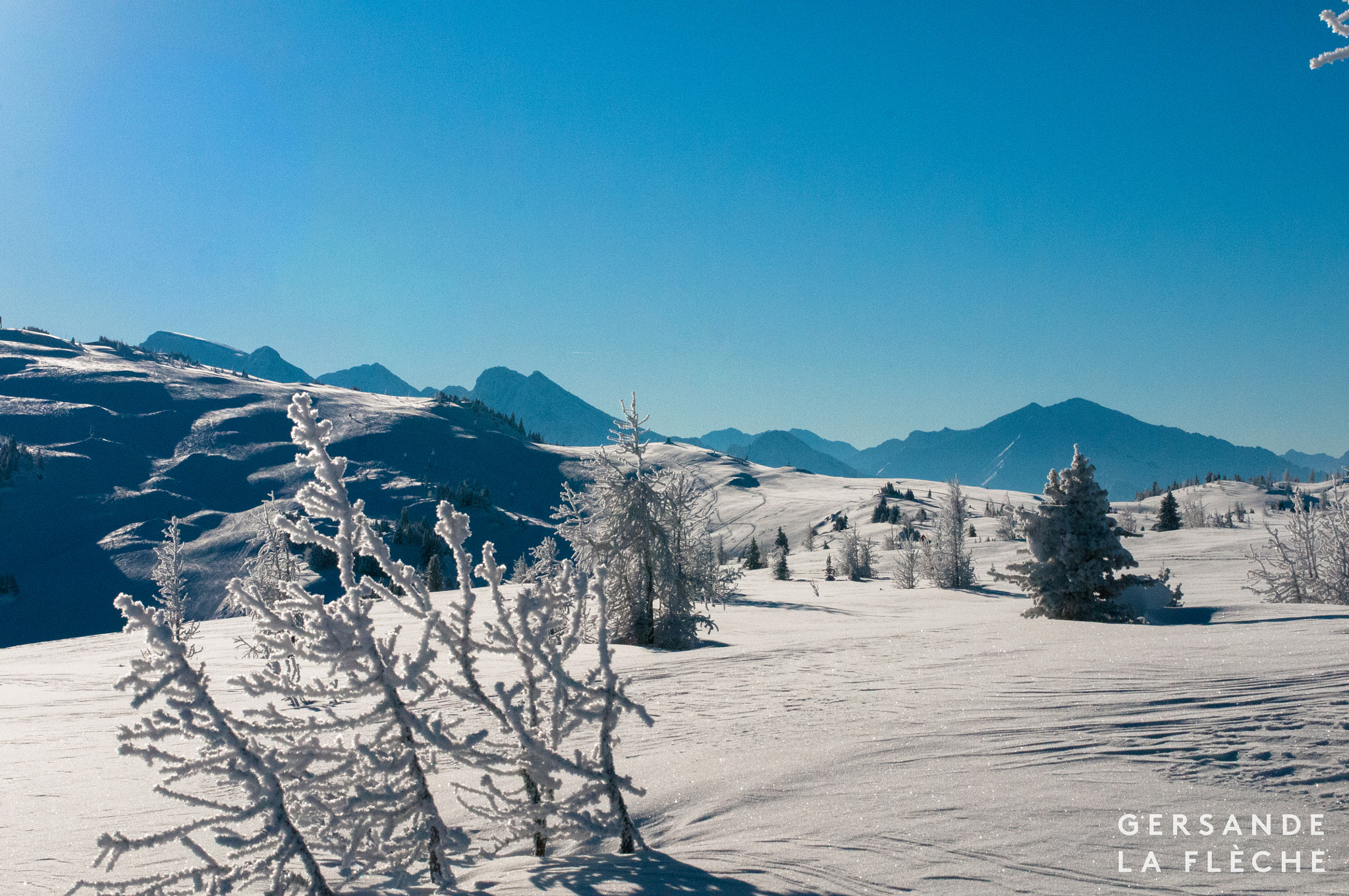 Nikon D300S + Nikon AF-S Nikkor 50mm F1.4G sample photo. Sunshine valley—december 25 2016 1 photography