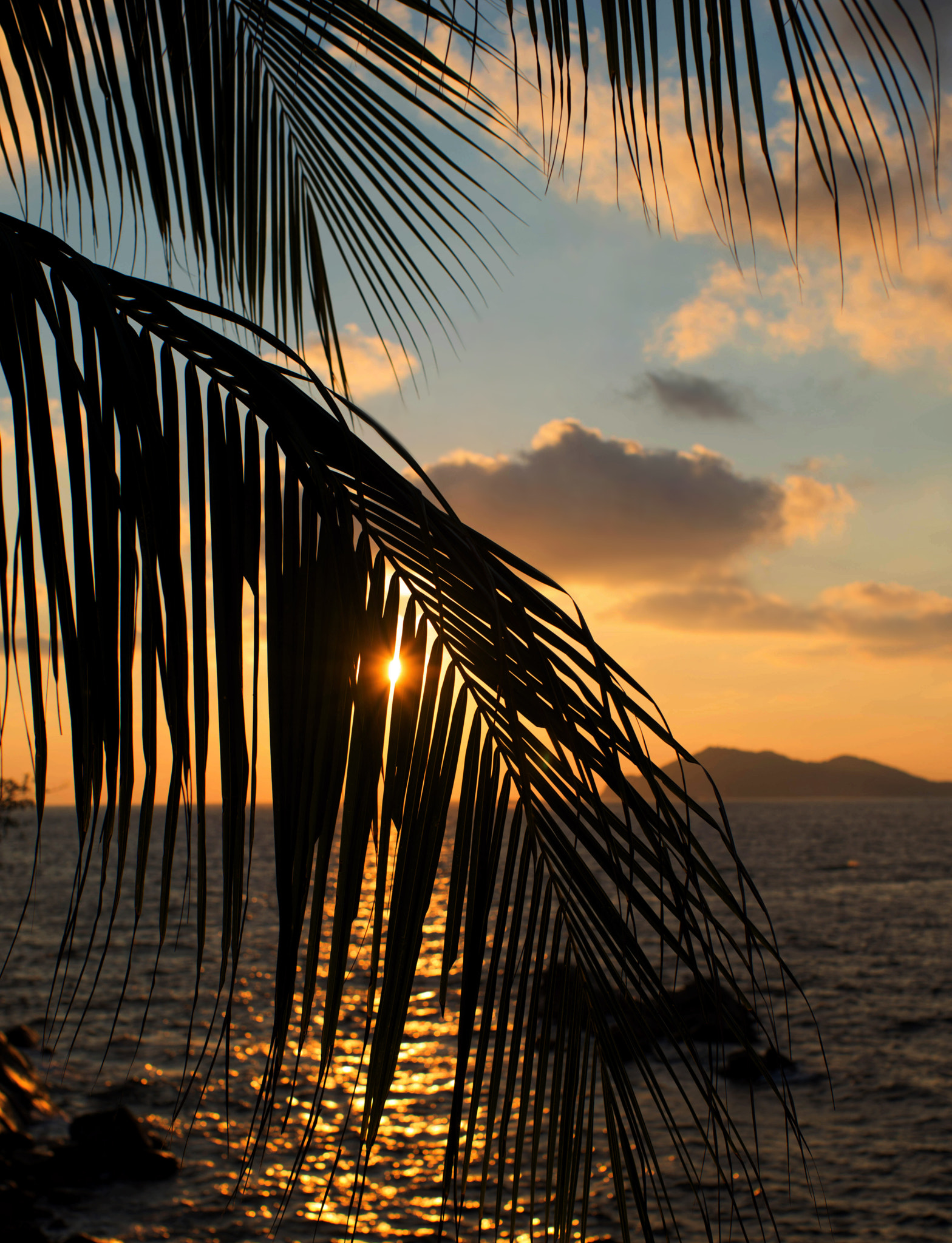 Sigma 50mm F1.4 EX DG HSM sample photo. Tropical sunset photography