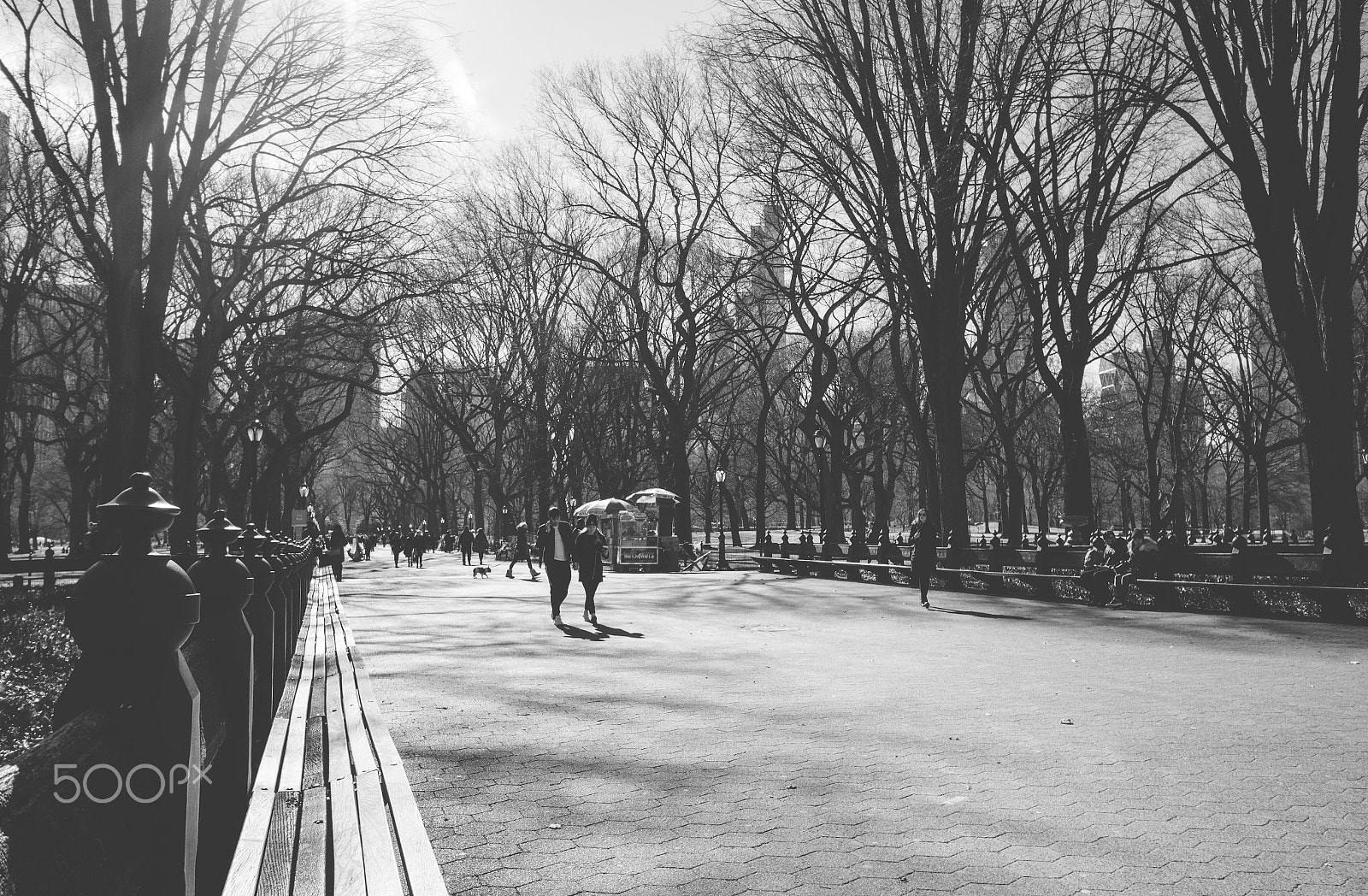 Canon EOS 100D (EOS Rebel SL1 / EOS Kiss X7) sample photo. Central dark photography