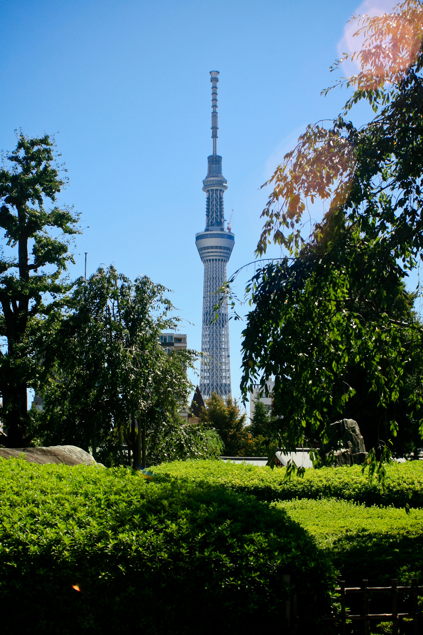 Canon EOS 30D + EF35-80mm f/4-5.6 sample photo. Sky tree under construction photography