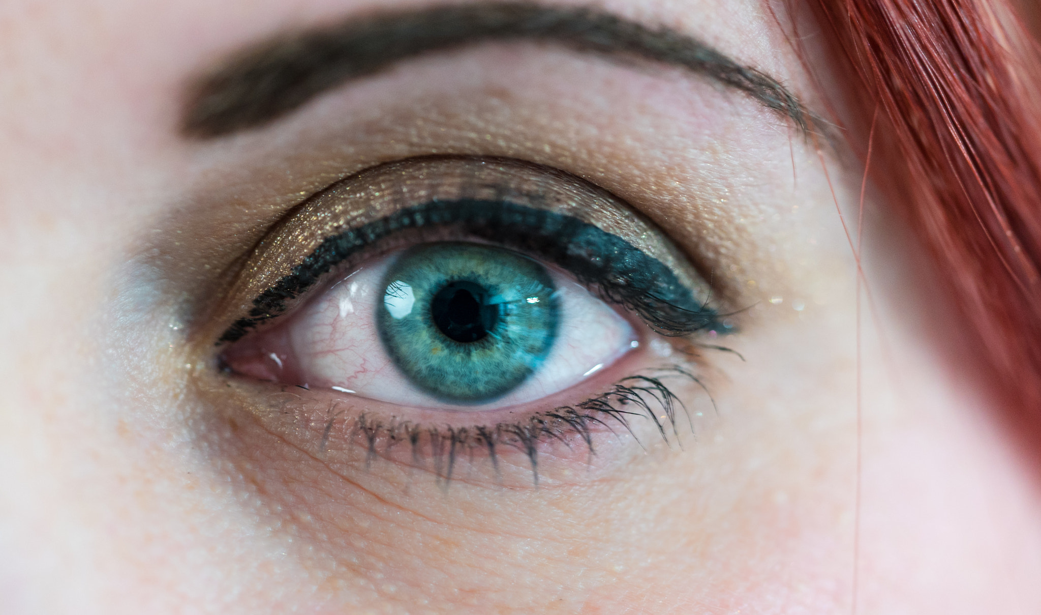 Sony a7S + Sony FE 90mm F2.8 Macro G OSS sample photo. Green eyes photography