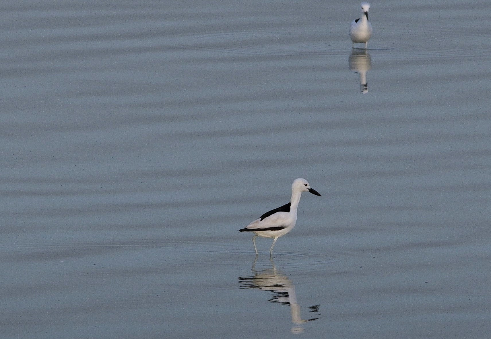 Pentax K-3 sample photo