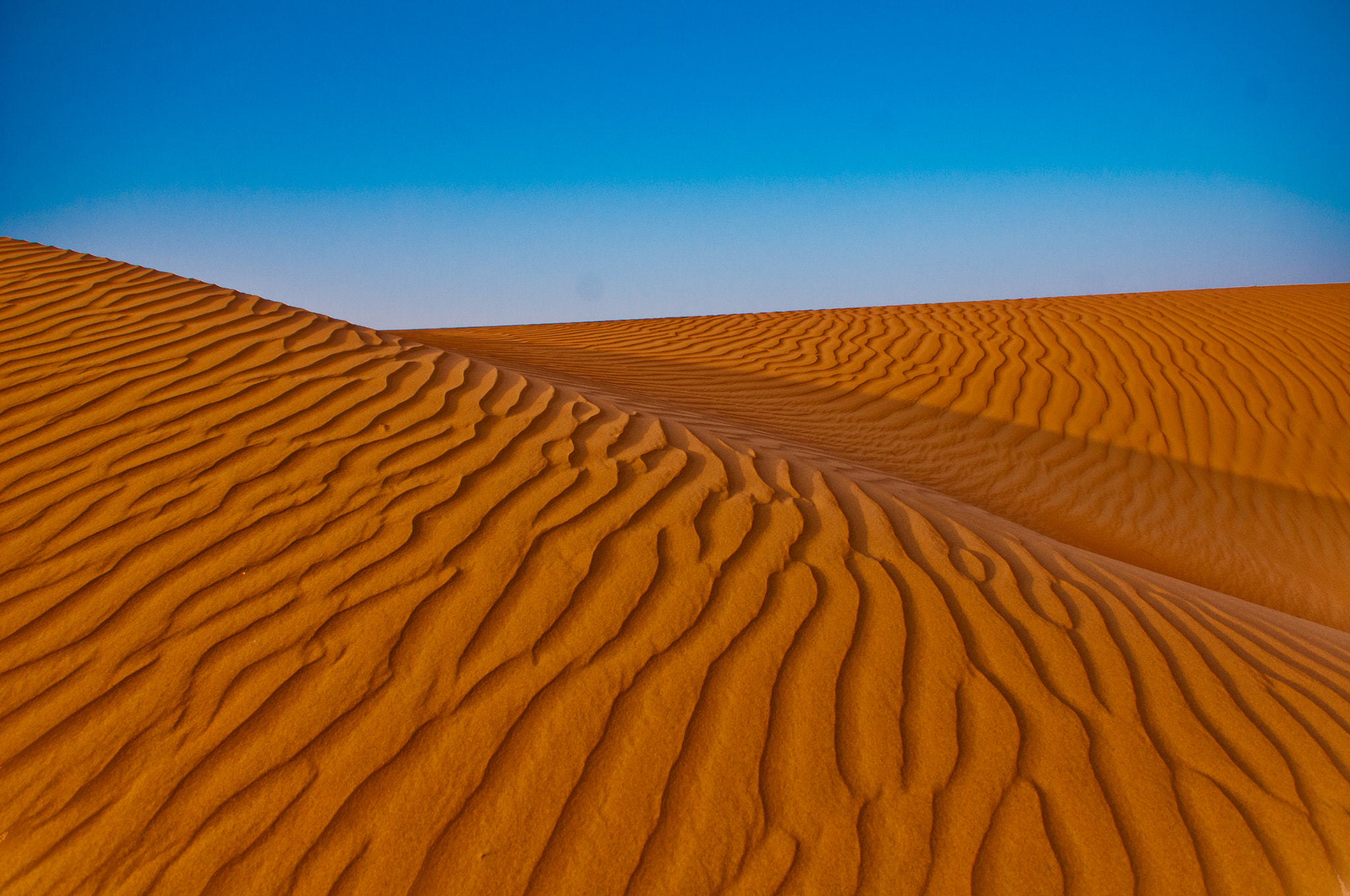Nikon D300S sample photo. Wahiba sands oman photography