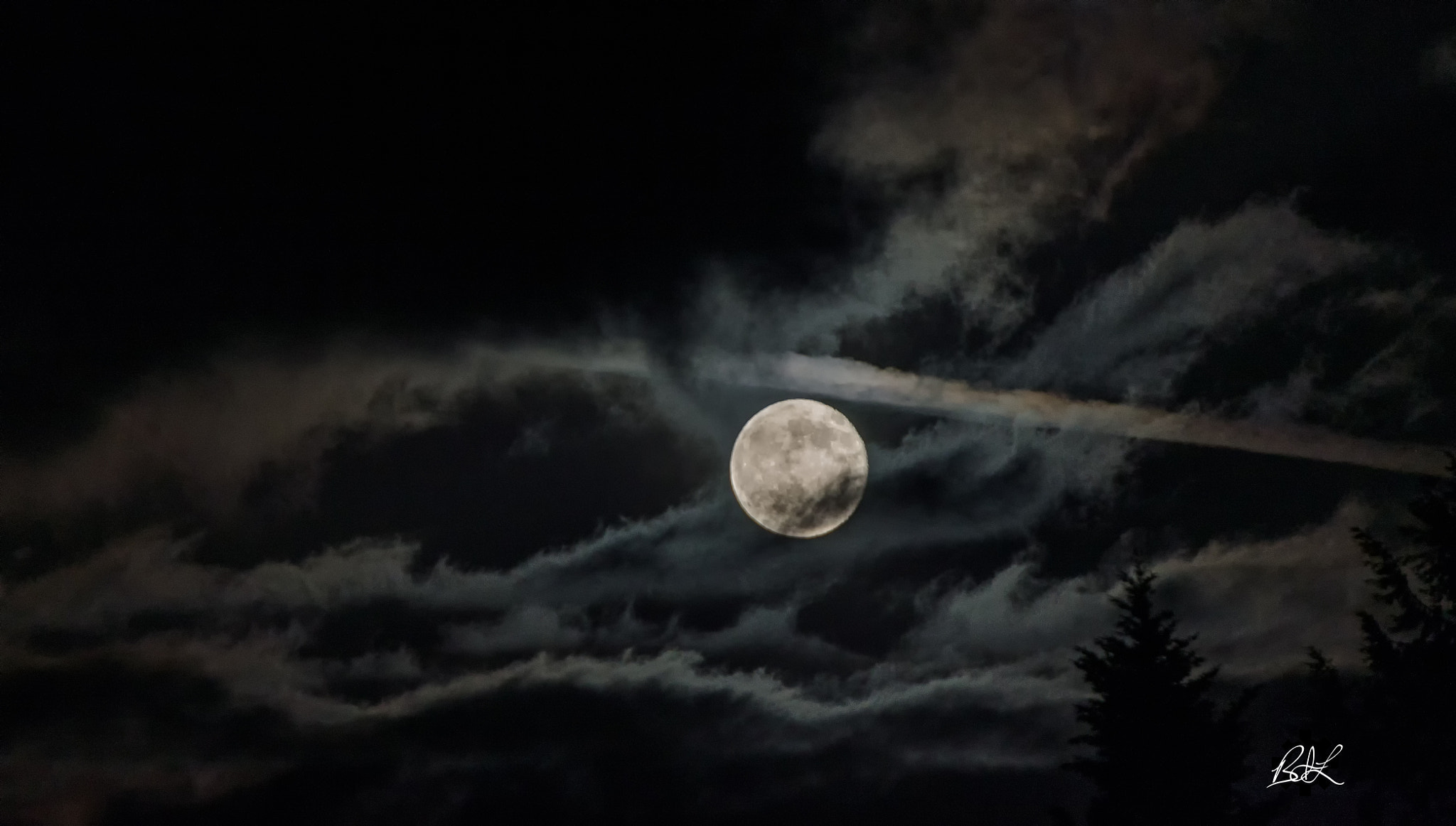Nikon AF-S Nikkor 70-200mm F2.8G ED VR II sample photo. Lacey moon photography