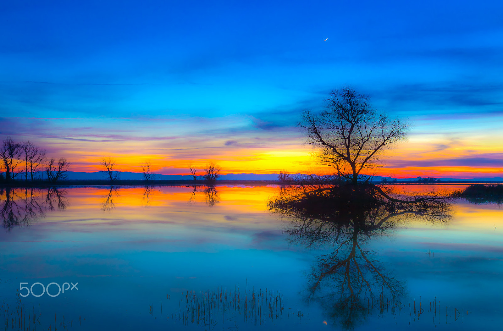 Canon EF 16-35mm F2.8L II USM sample photo. Wetland twilight photography