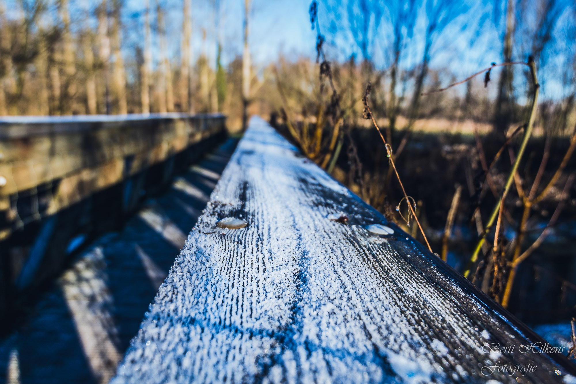 Tamron SP 15-30mm F2.8 Di VC USD sample photo. Bridge photography