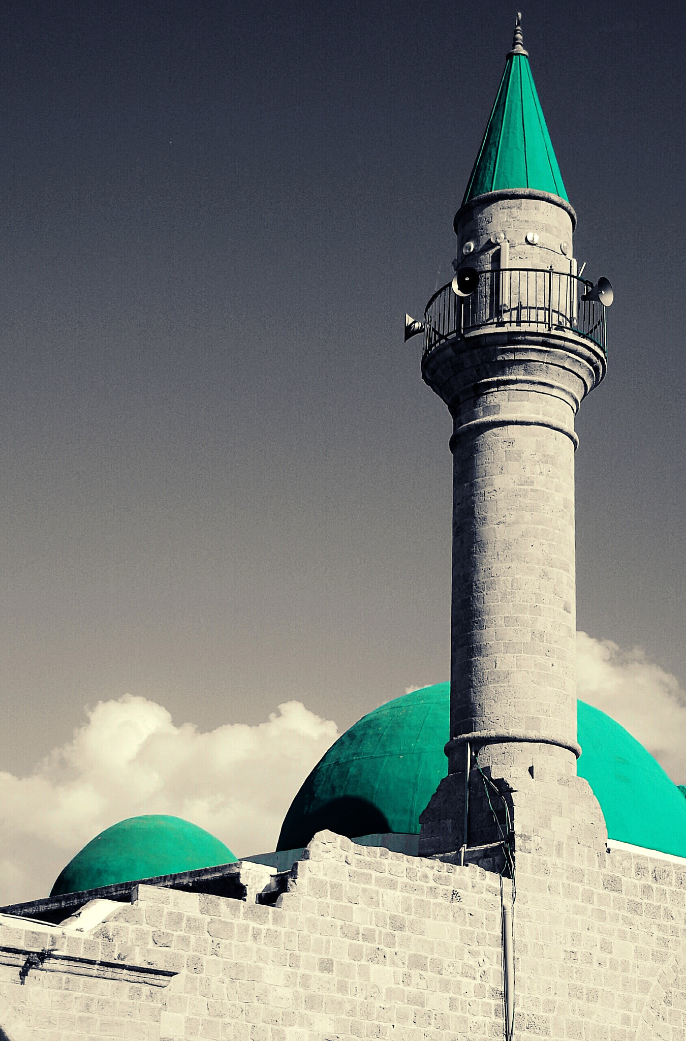 Nikon D50 sample photo. Green mosque  photography