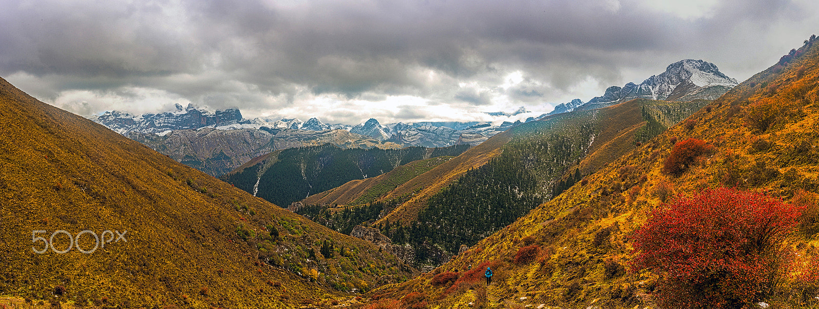 Nikon D810 + Nikon AF Nikkor 50mm F1.4D sample photo. The snow capped mountains photography