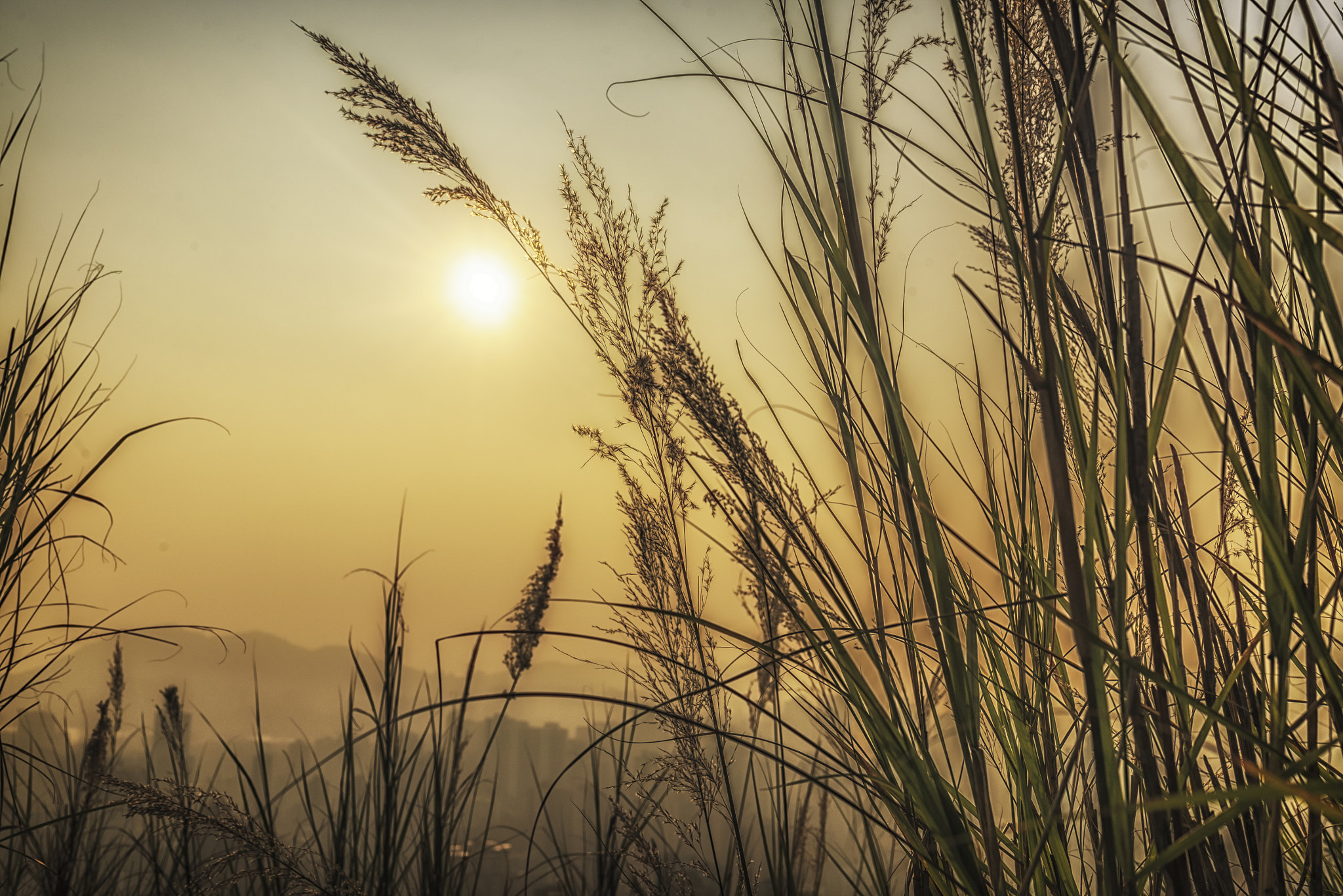 Nikon D750 + Tamron SP 35mm F1.8 Di VC USD sample photo. Sunset feelings photography