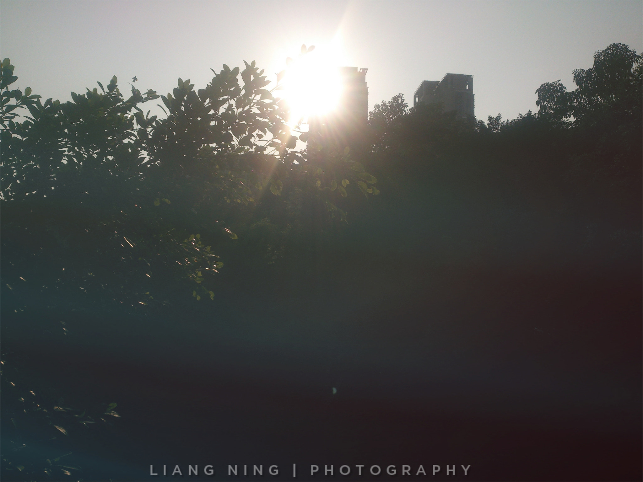 Sony Xperia T sample photo
