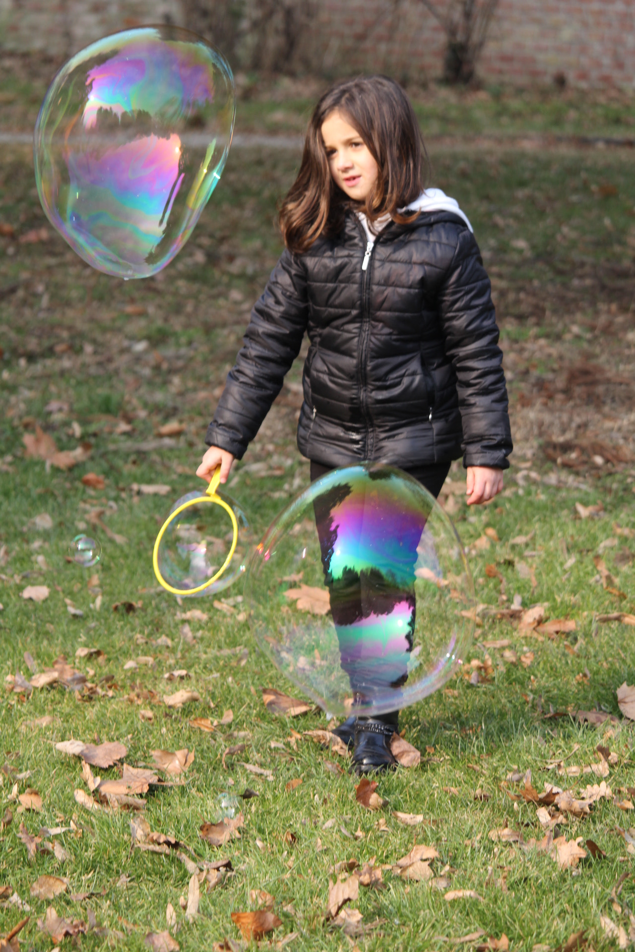 Canon EF-S 55-250mm F4-5.6 IS STM sample photo. Img photography