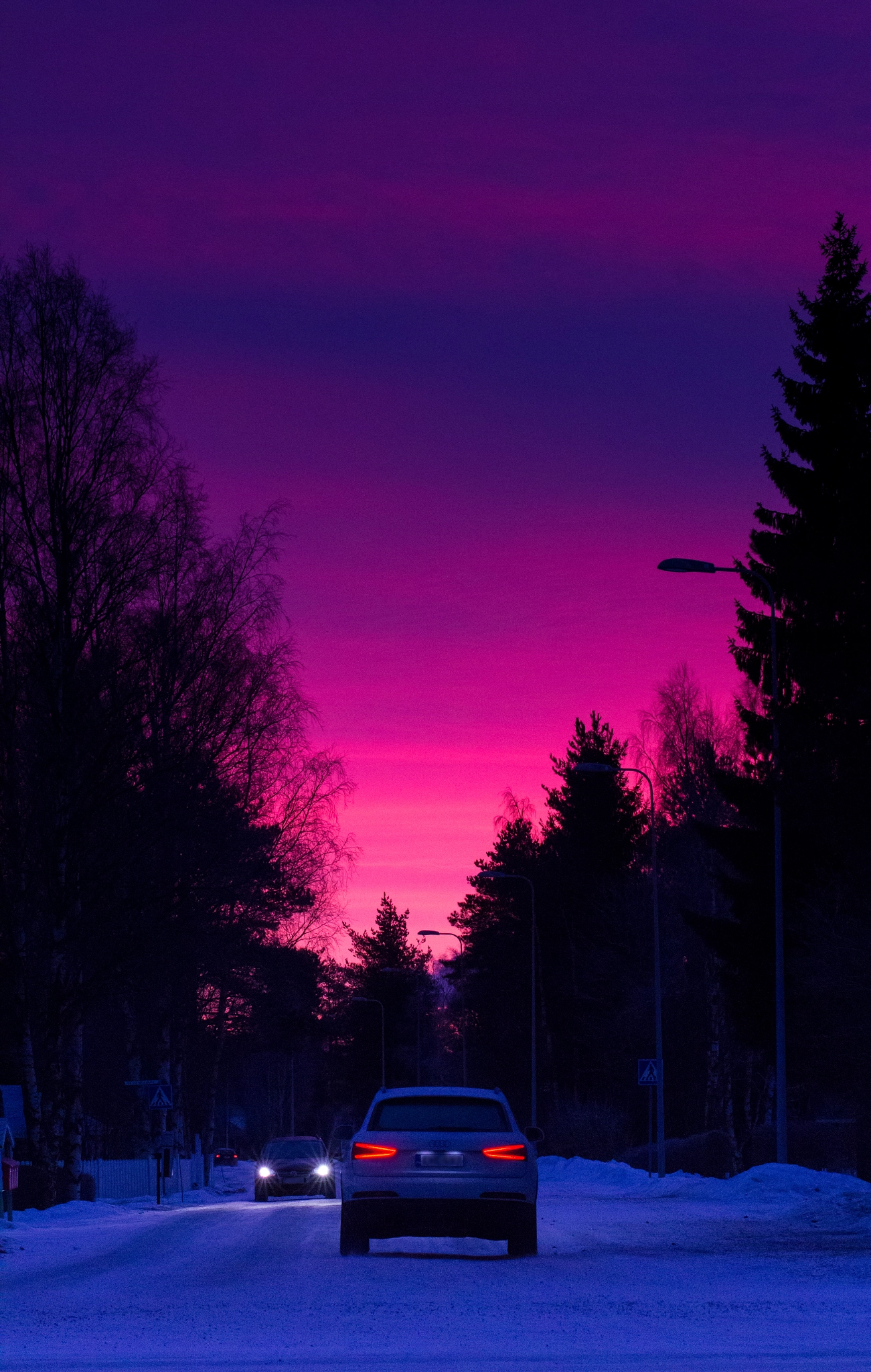 Sigma 70-200mm F2.8 EX DG OS HSM sample photo. January morning photography