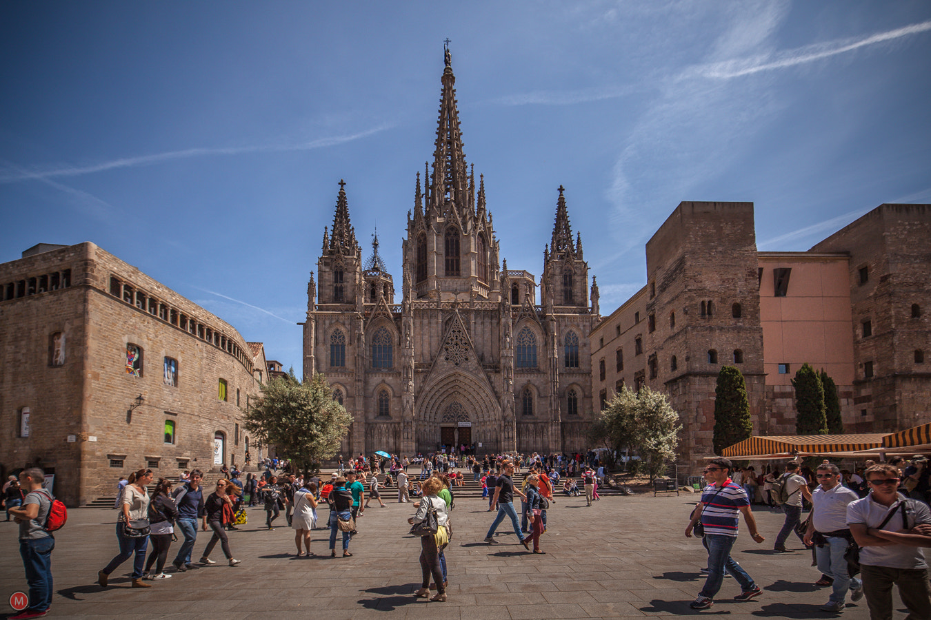 ZEISS Distagon T* 15mm F2.8 sample photo. Catedral de barcelona photography