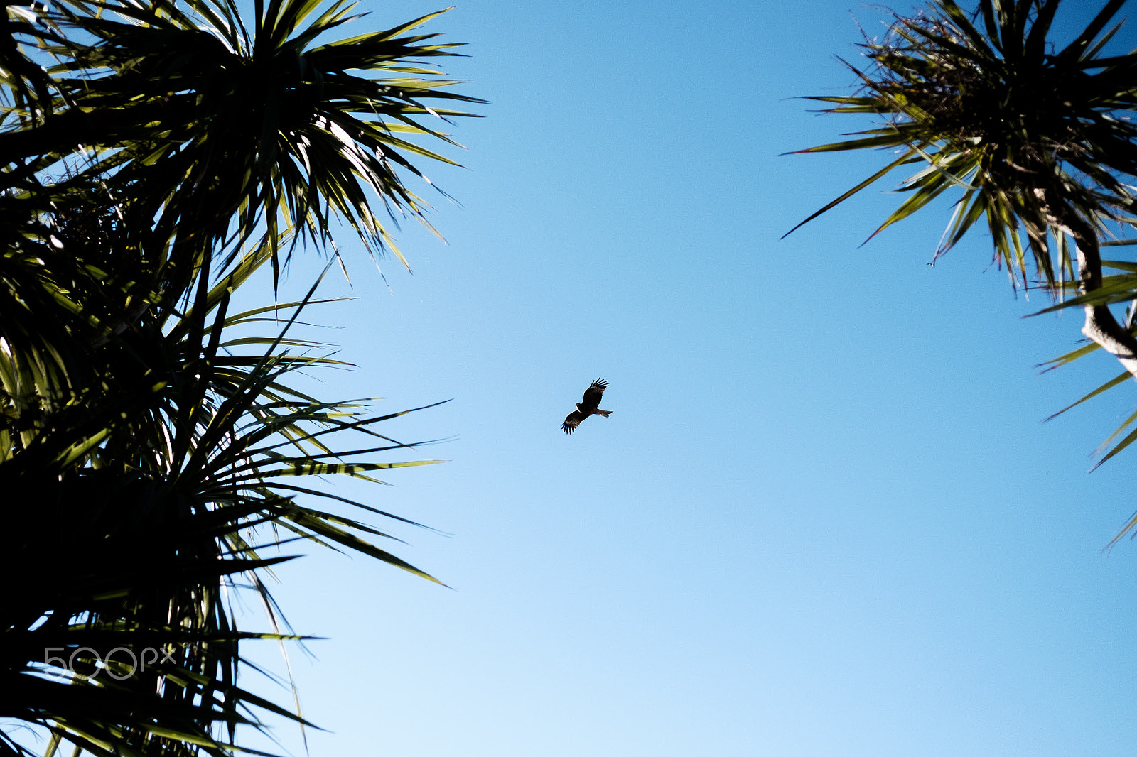 Fujifilm X-T1 + Fujifilm XF 23mm F2 R WR sample photo. Snapshot photography