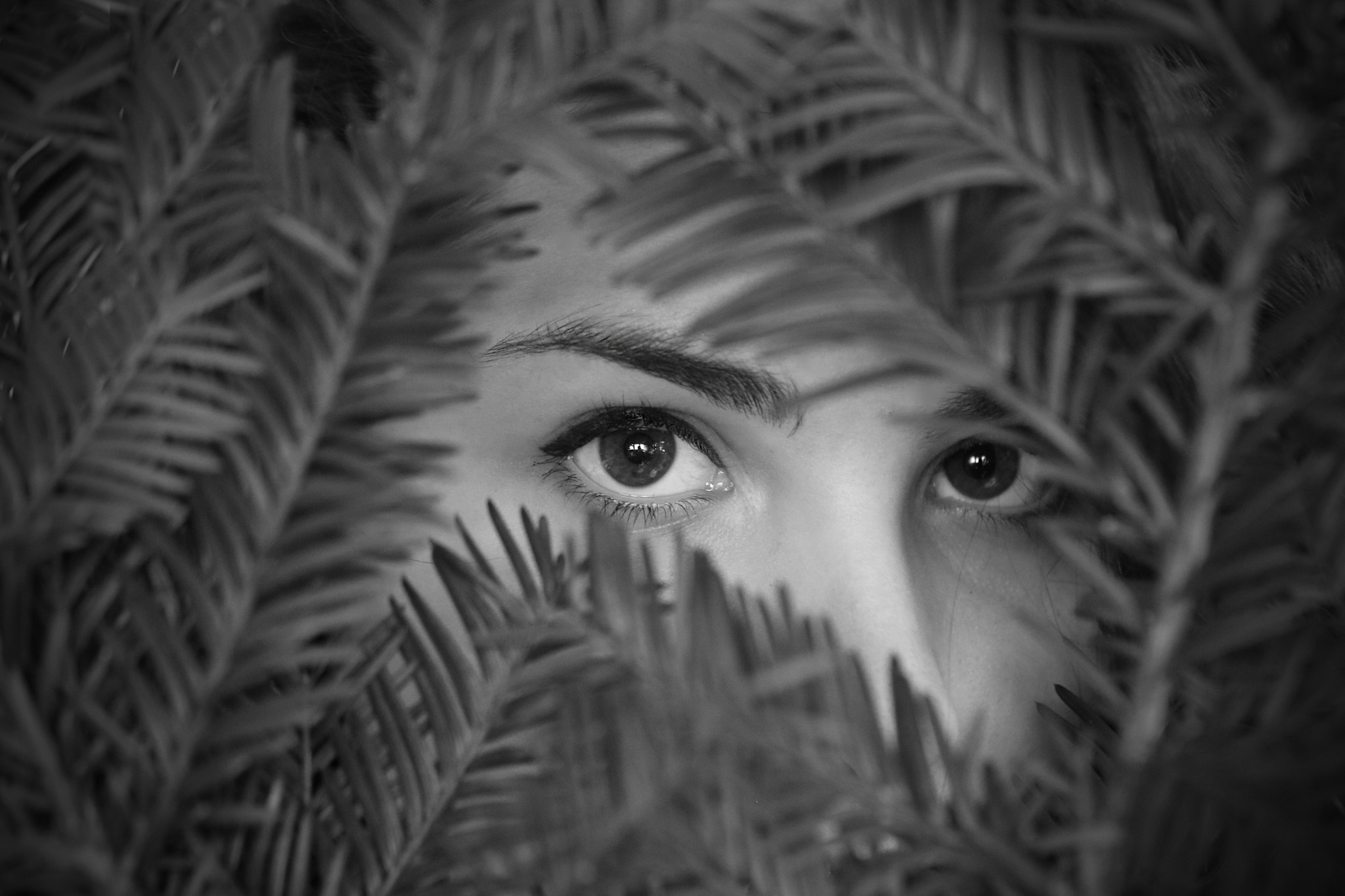 Canon EF 100mm F2.8L Macro IS USM sample photo. Martina photography