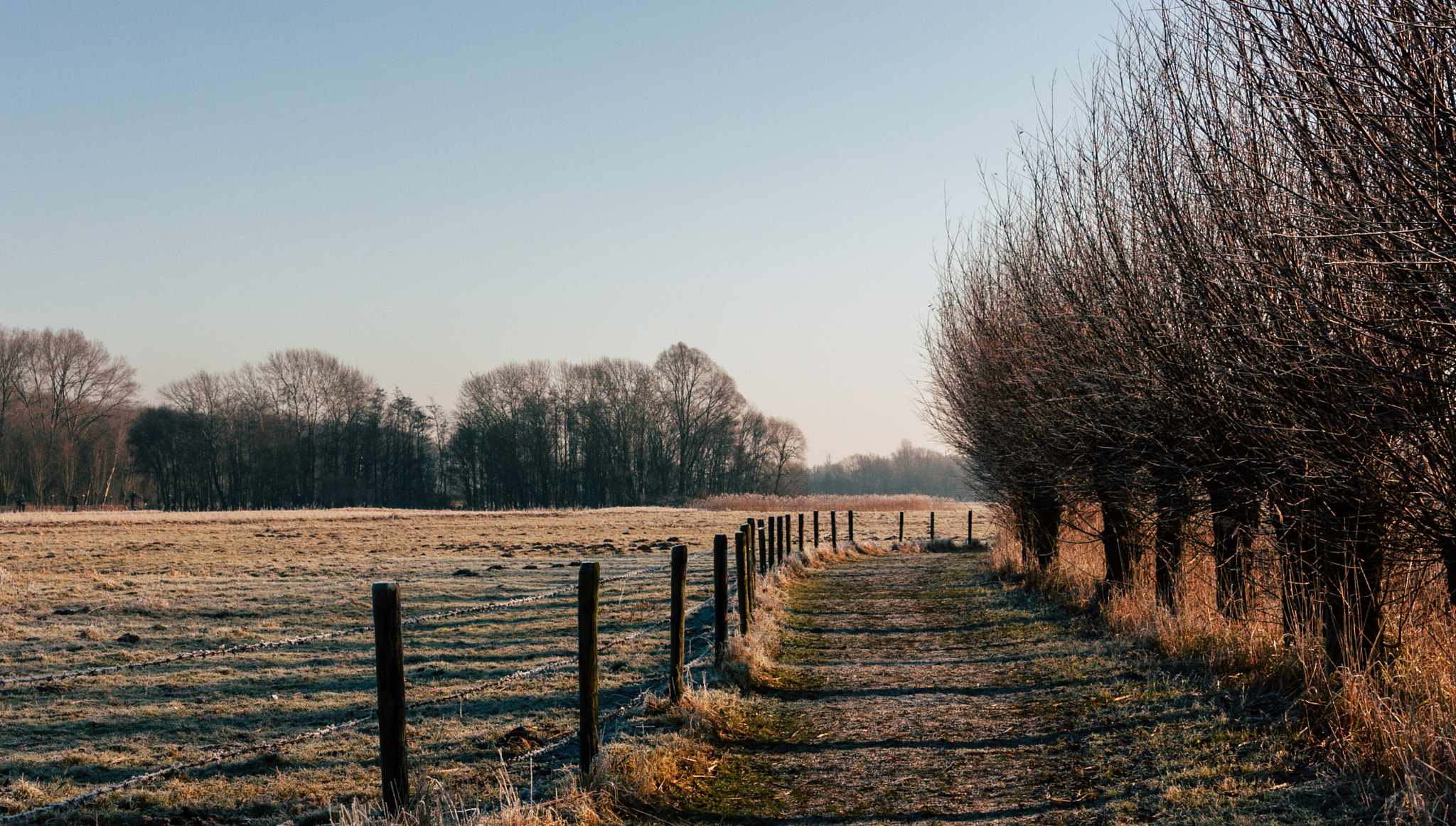 Canon EOS 40D sample photo. De biesbosch photography