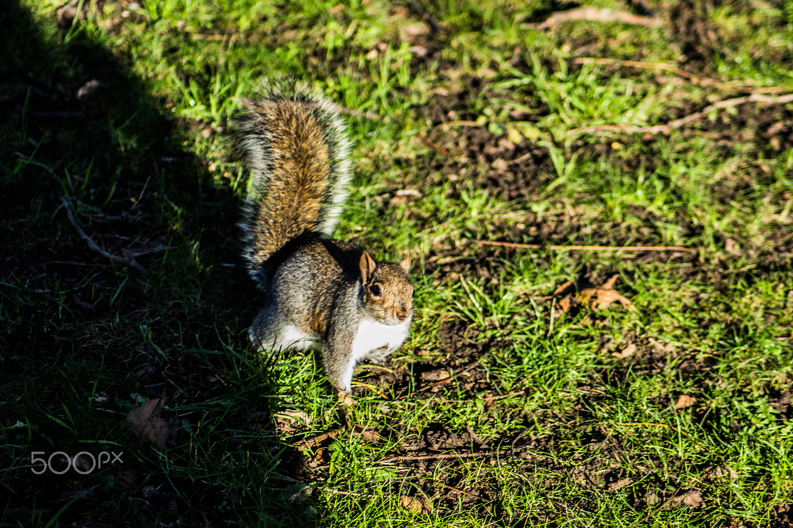 Canon EOS 100D (EOS Rebel SL1 / EOS Kiss X7) sample photo. Out in the sun photography