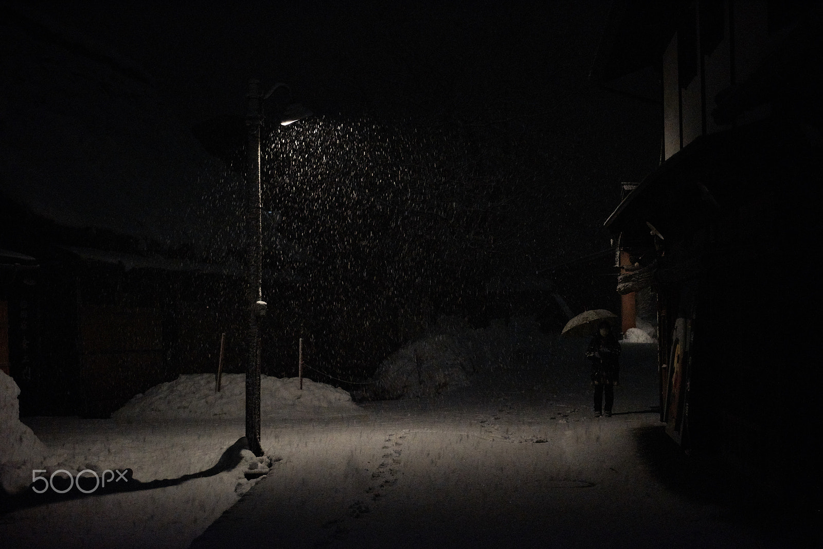 Nikon AF-S Nikkor 24-70mm F2.8G ED sample photo. Wait for photography