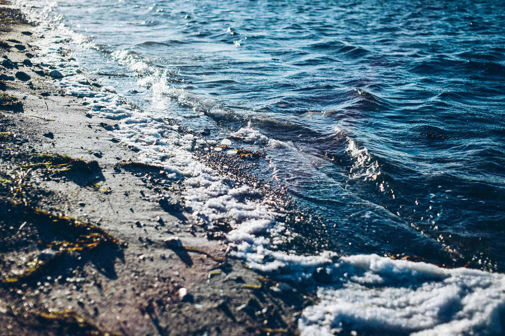 Leica M9 + Leica Summicron-M 35mm F2 ASPH sample photo. Hardy photography