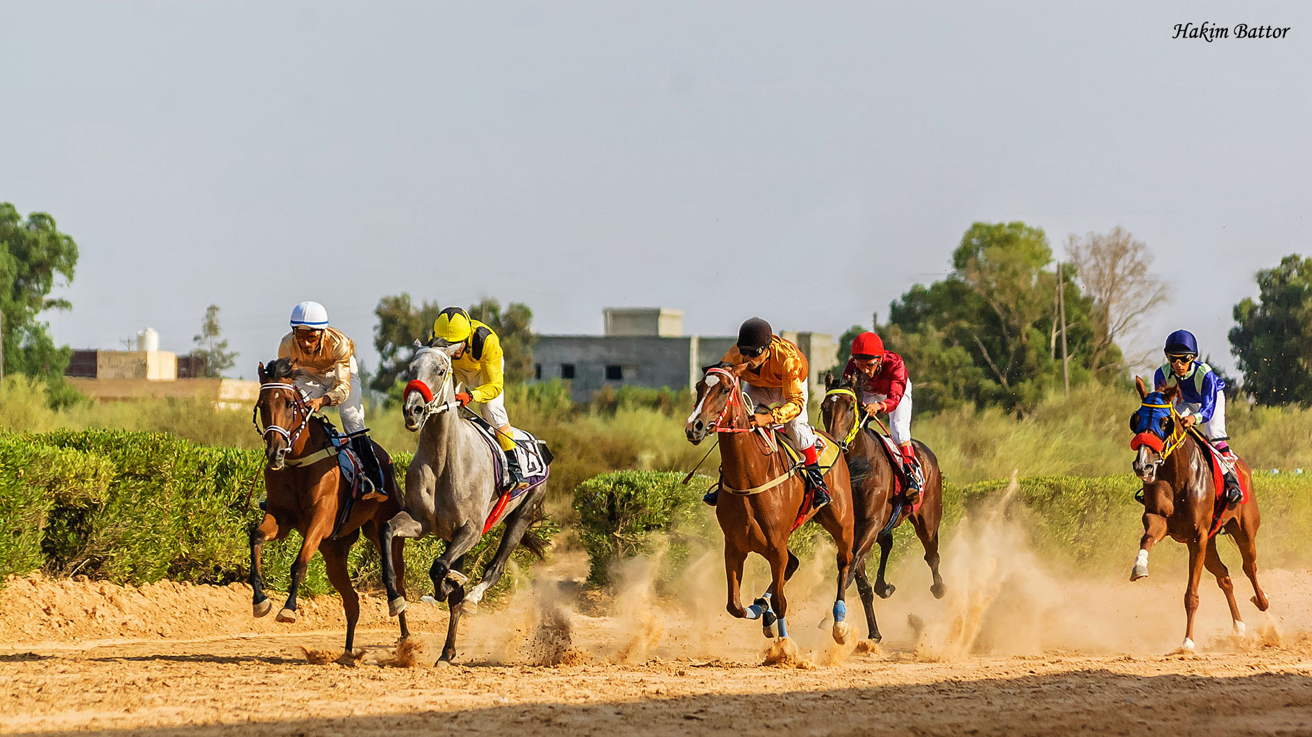Nikon D70 sample photo. حلبة الزاوية 2015 photography