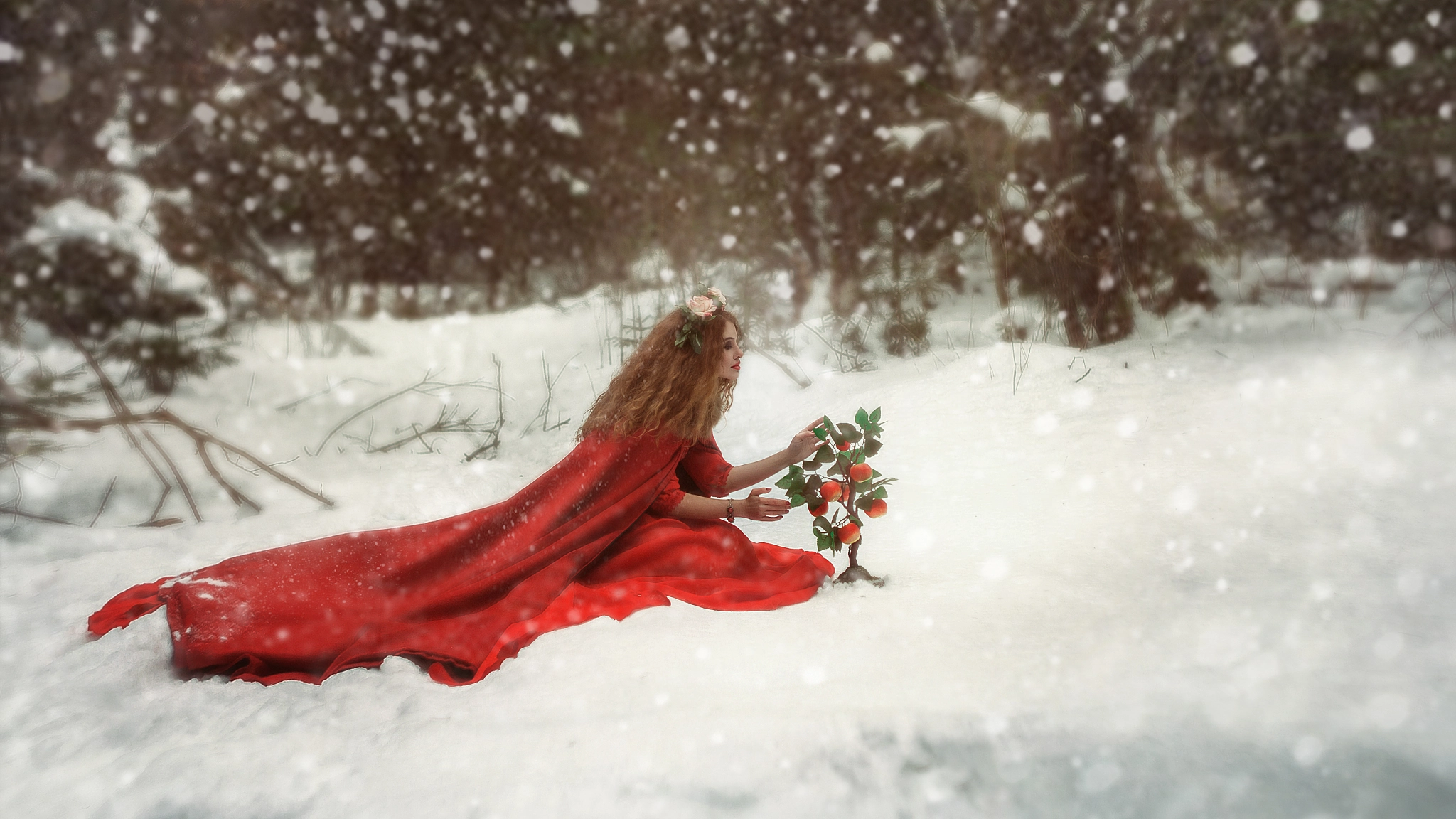 Canon EF 35-80mm f/4-5.6 sample photo. Snow white. photography