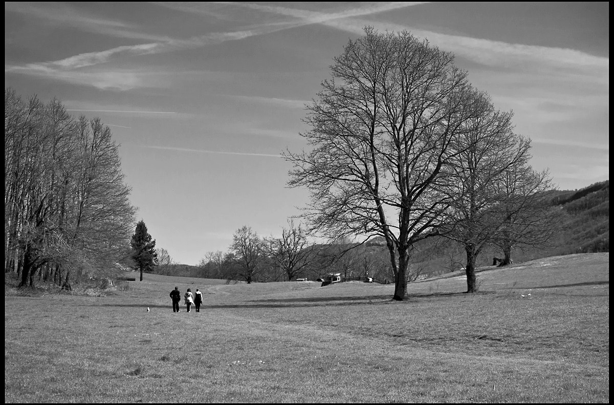 Nikon D300S sample photo. Free shades photography