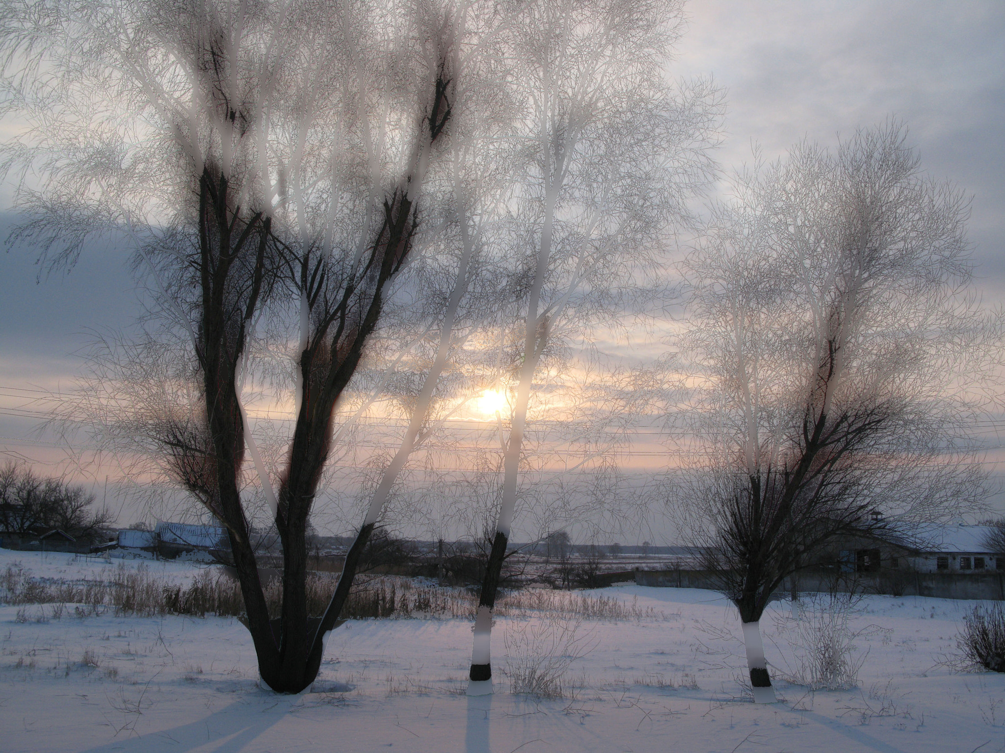 Canon POWERSHOT G7 sample photo. Frosty day photography