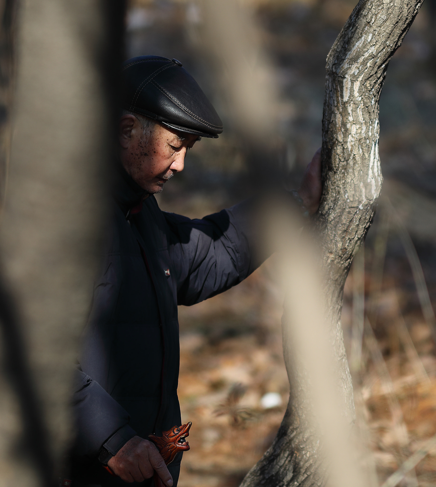 Canon EF 300mm F4L IS USM sample photo. 老人2(the elderly) photography