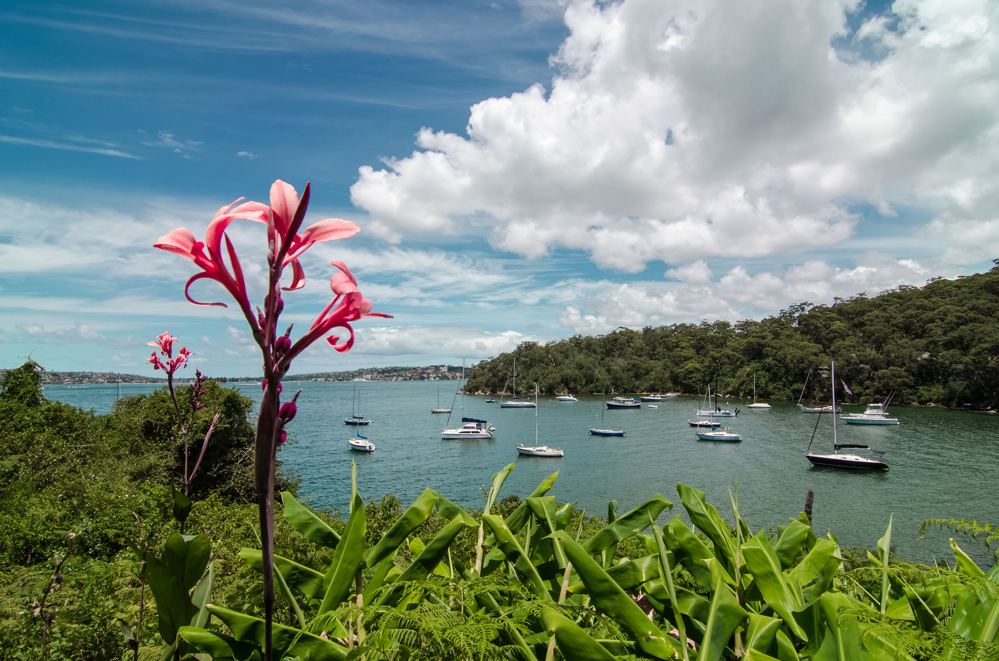Tokina AT-X Pro 11-16mm F2.8 DX sample photo. The bay photography